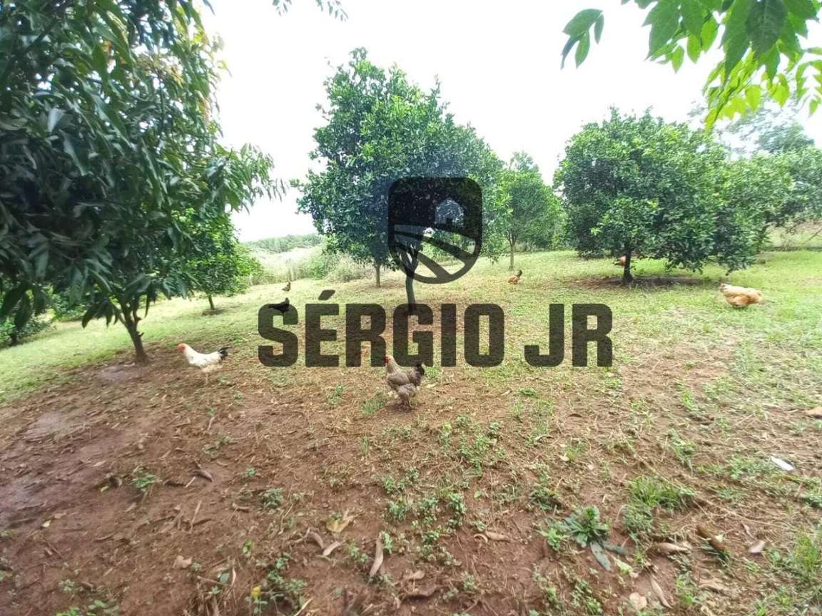 Chácara, 3 quartos, 6 hectares - Foto 18