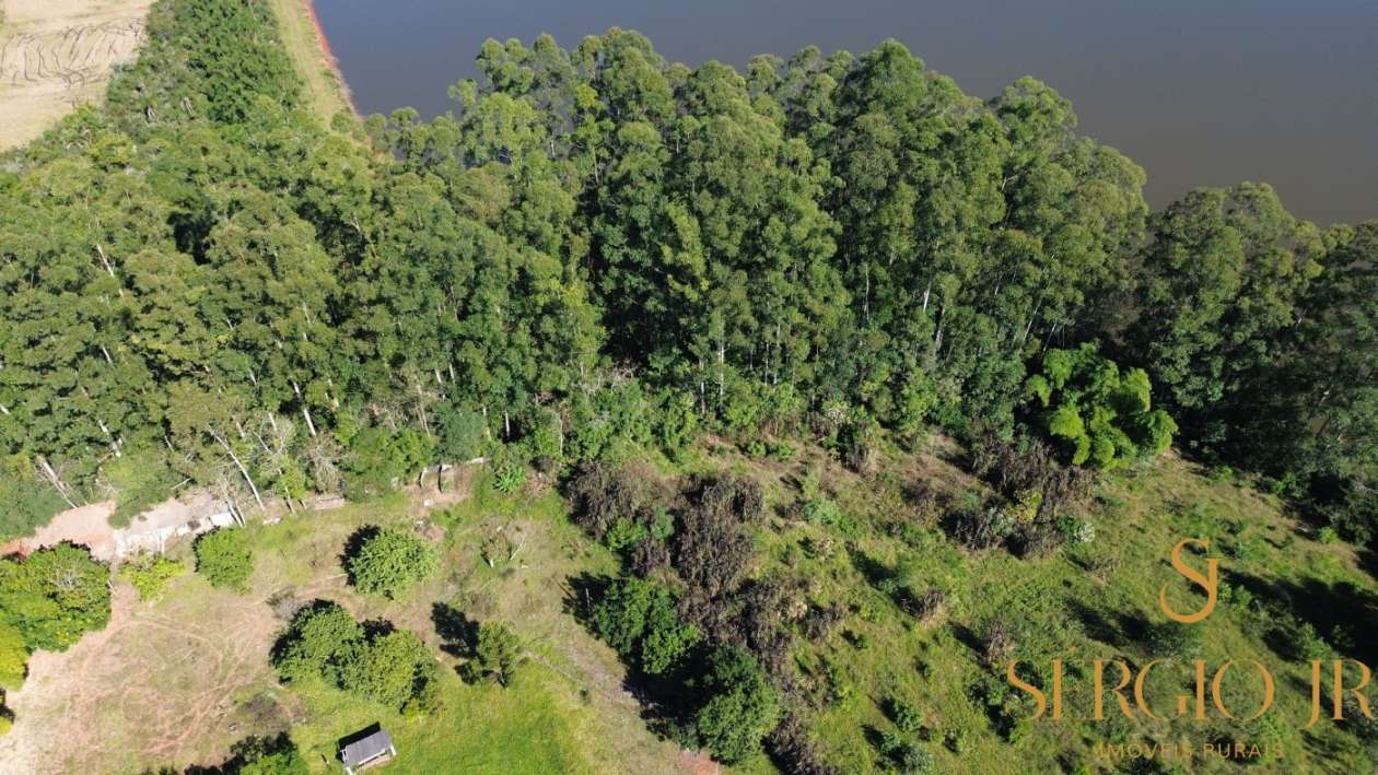 Chácara, 16 quartos, 3 hectares - Foto 8