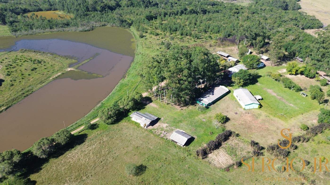 Chácara, 16 quartos, 3 hectares - Foto 11