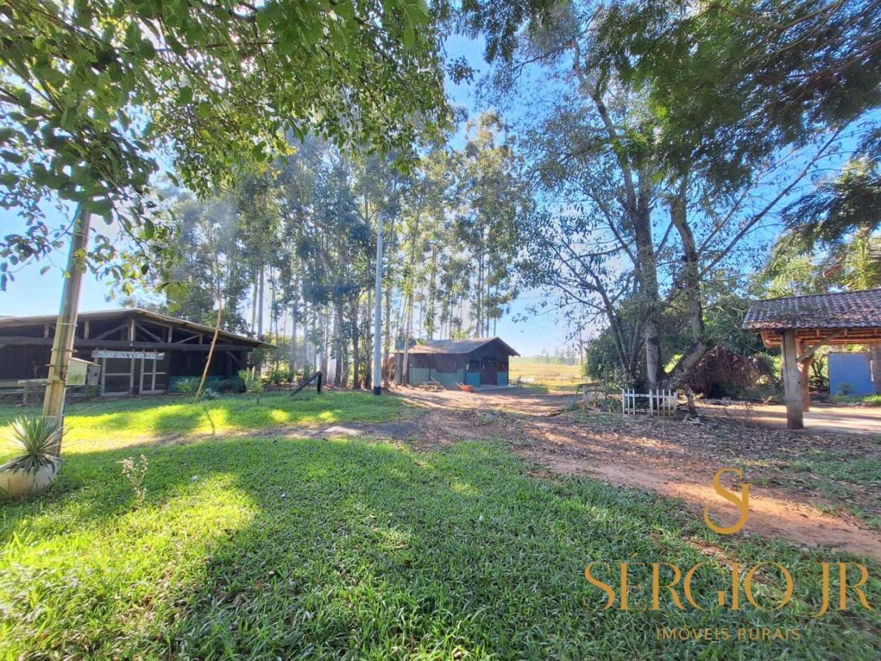 Chácara, 16 quartos, 3 hectares - Foto 43