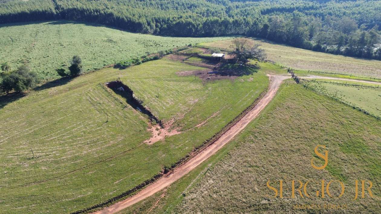Chácara, 4 quartos, 24 hectares - Foto 2