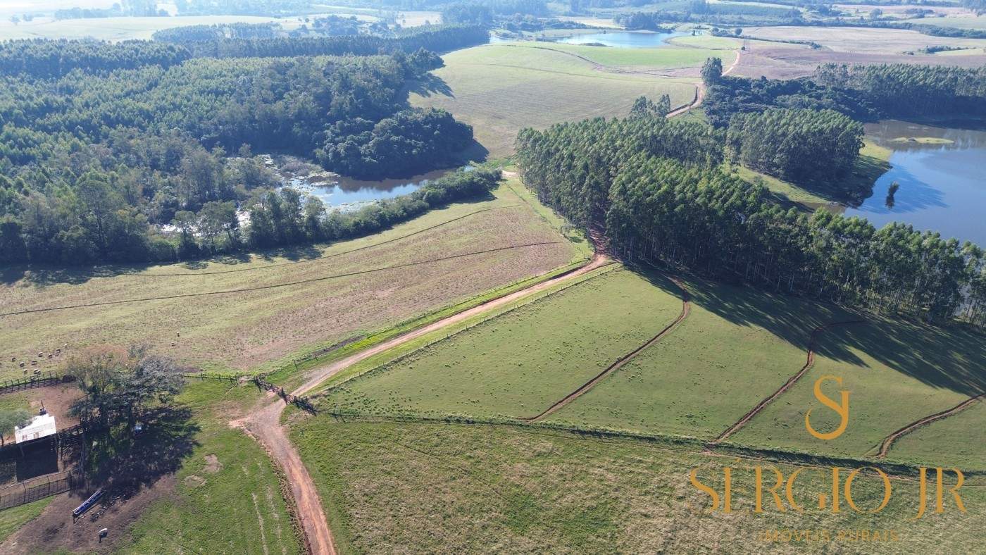 Chácara, 4 quartos, 24 hectares - Foto 4
