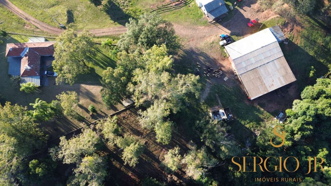 Chácara, 4 quartos, 24 hectares - Foto 10