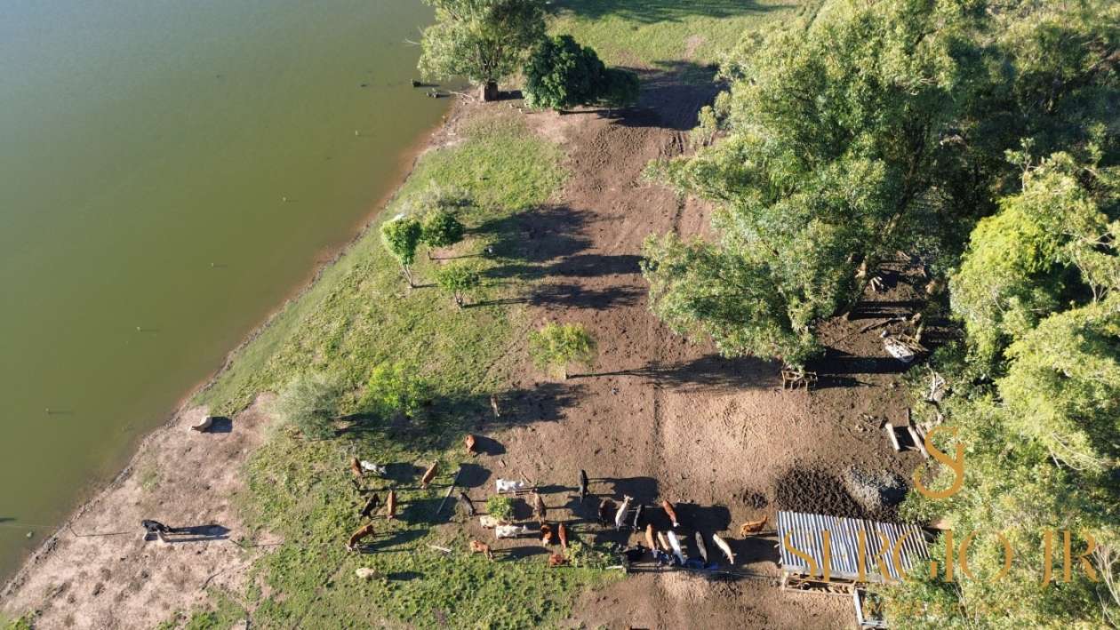 Chácara, 4 quartos, 24 hectares - Foto 12