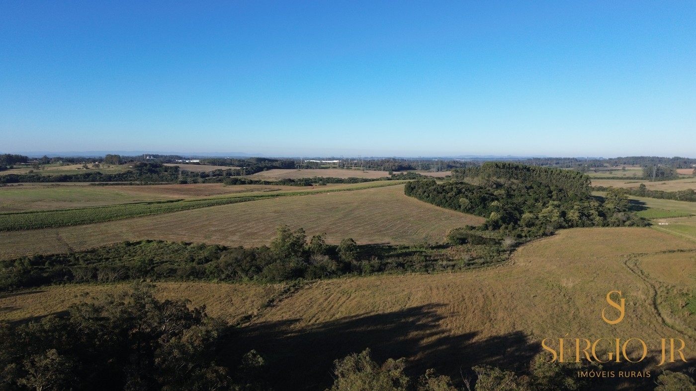 Chácara, 4 quartos, 24 hectares - Foto 13
