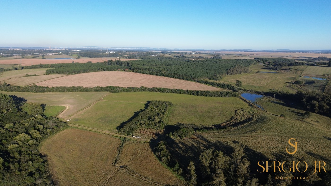 Chácara, 4 quartos, 24 hectares - Foto 14