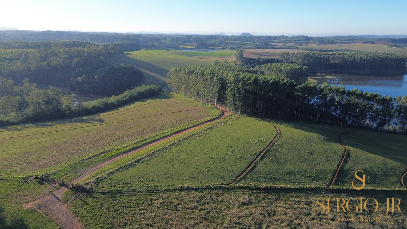 Chácara, 4 quartos, 24 hectares - Foto 15