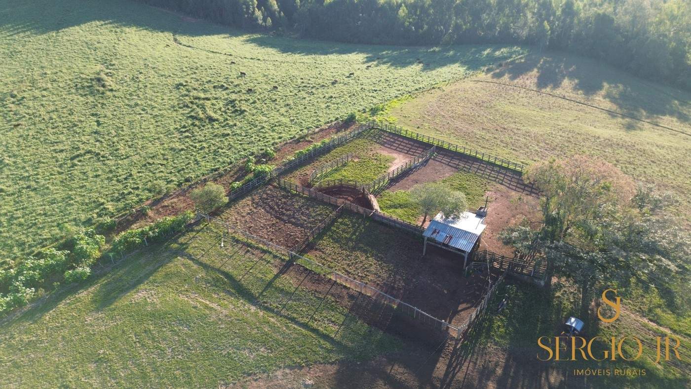 Chácara, 4 quartos, 24 hectares - Foto 16