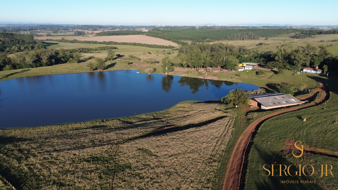 Chácara, 4 quartos, 24 hectares - Foto 17