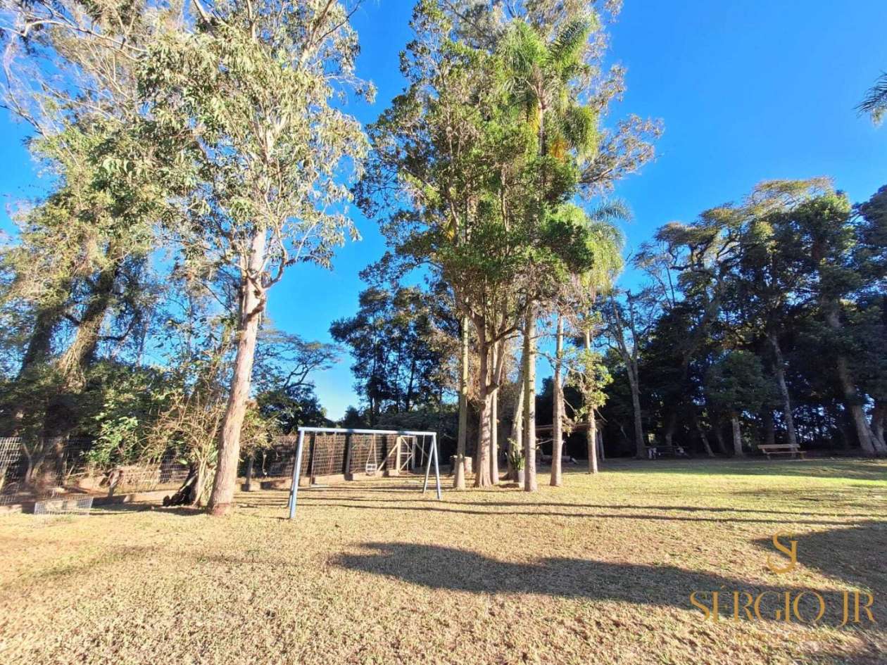 Chácara, 4 quartos, 24 hectares - Foto 18