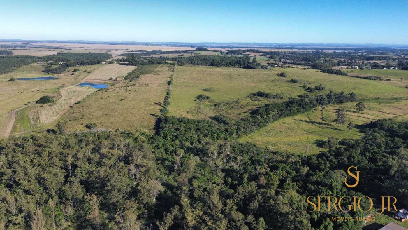 Chácara, 4 quartos, 24 hectares - Foto 24