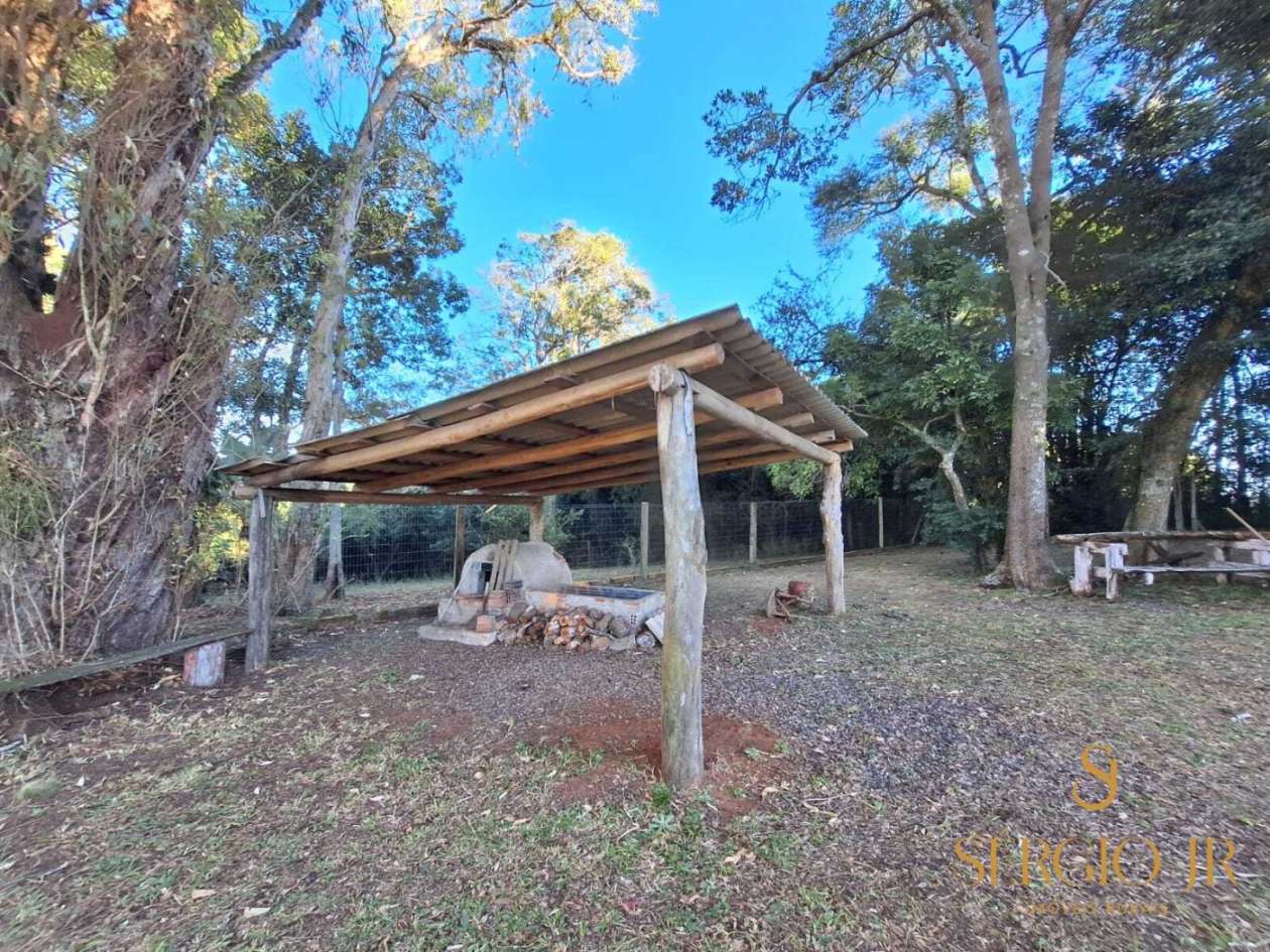Chácara, 4 quartos, 24 hectares - Foto 25