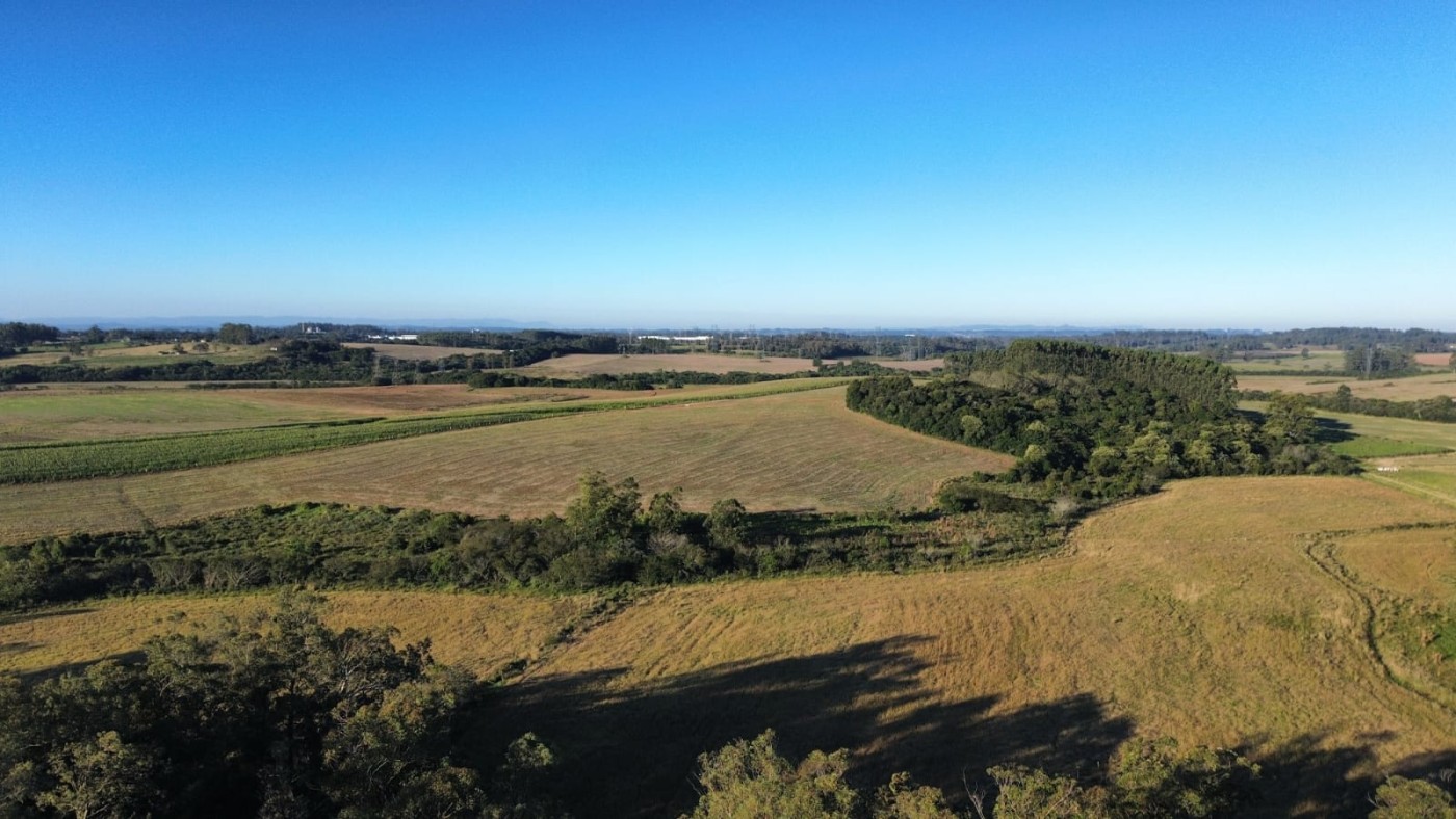 Chácara, 4 quartos, 24 hectares - Foto 30