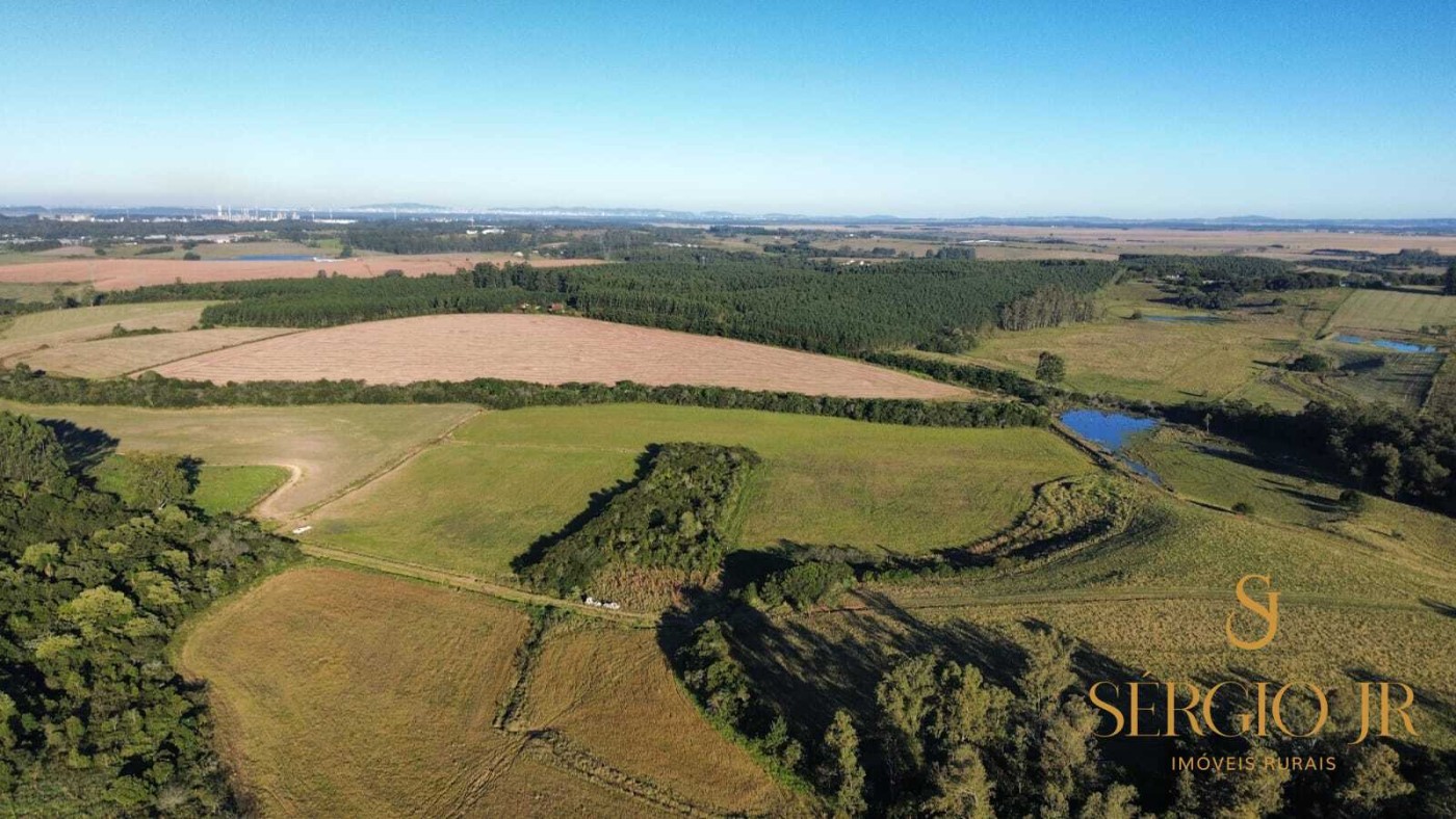 Chácara, 4 quartos, 24 hectares - Foto 32
