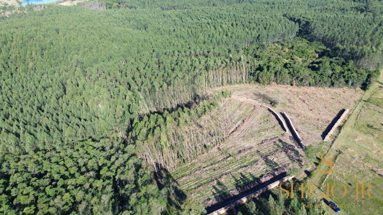 Loteamento e Condomínio, 12 hectares - Foto 3