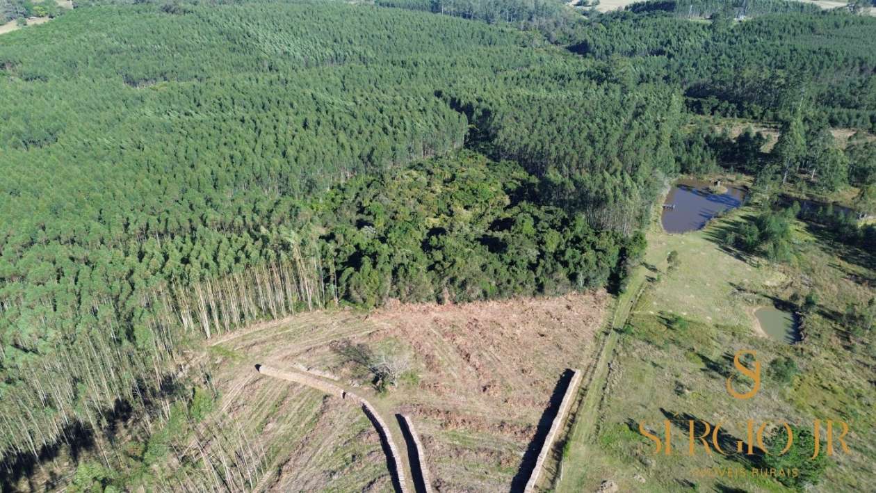 Loteamento e Condomínio, 12 hectares - Foto 4