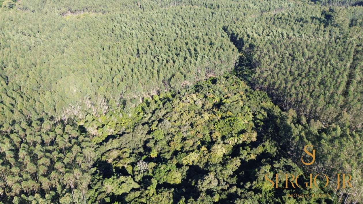 Loteamento e Condomínio, 12 hectares - Foto 6