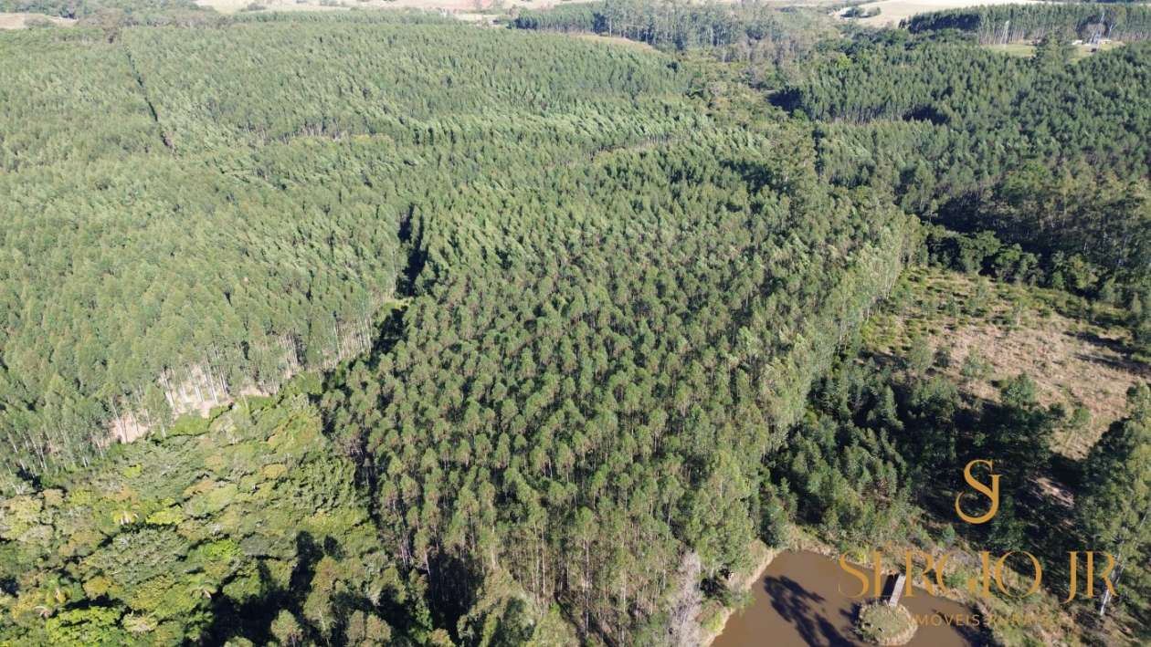 Loteamento e Condomínio, 12 hectares - Foto 8