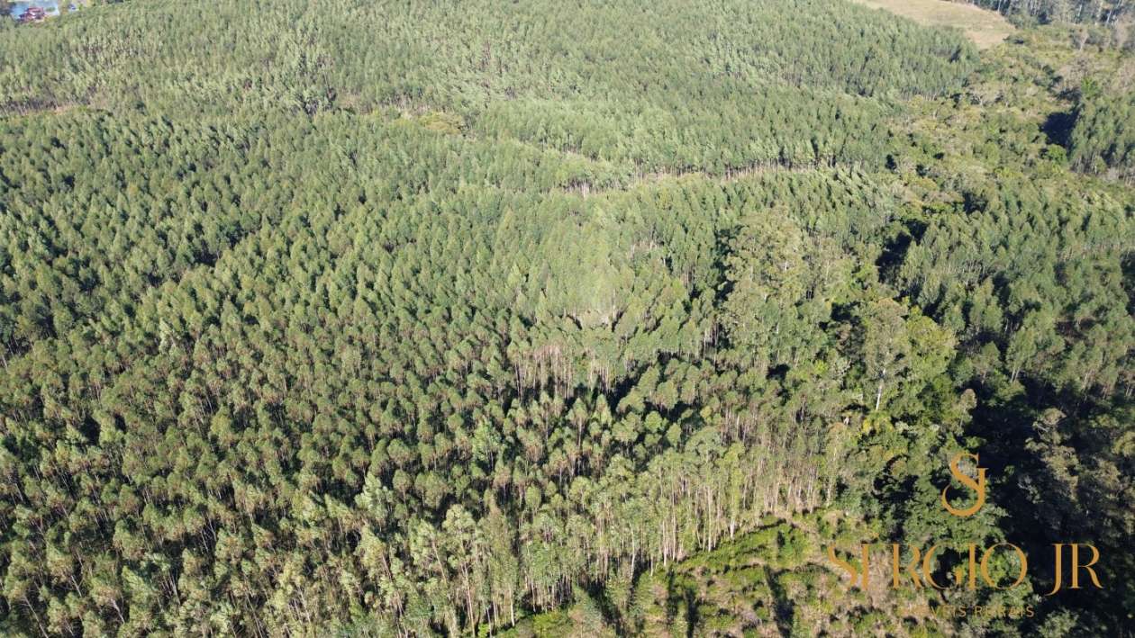 Loteamento e Condomínio, 12 hectares - Foto 9
