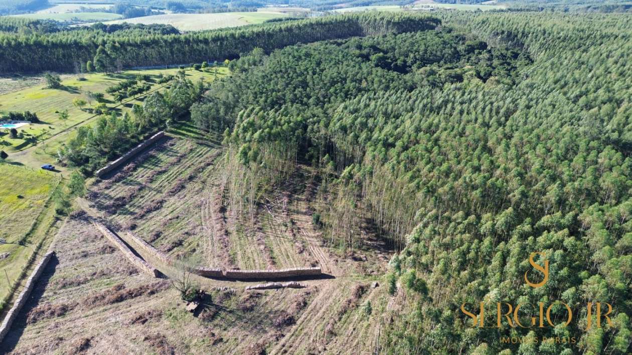 Loteamento e Condomínio, 12 hectares - Foto 11