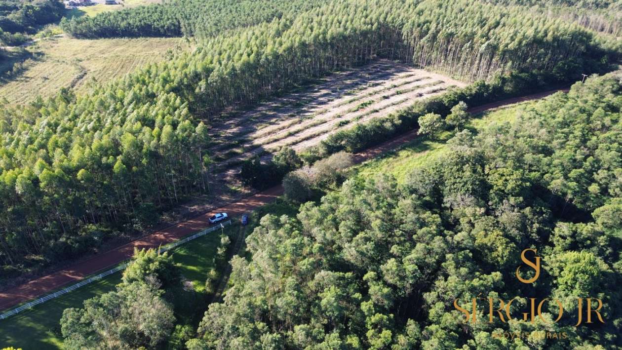 Loteamento e Condomínio, 12 hectares - Foto 15