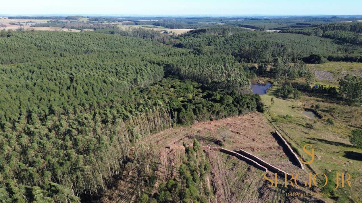 Loteamento e Condomínio, 12 hectares - Foto 17