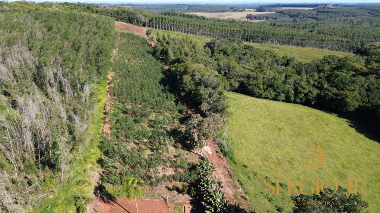 Chácara, 3 quartos, 2 hectares - Foto 3