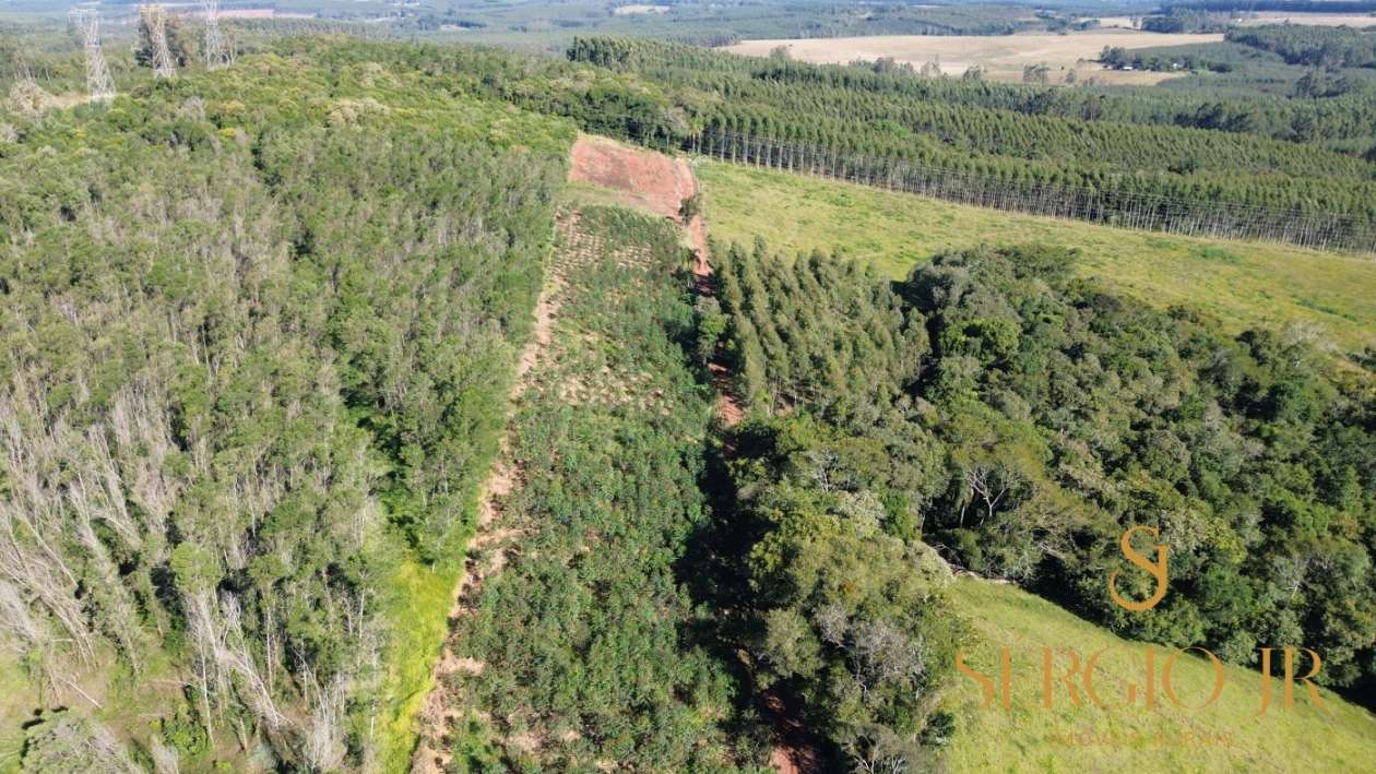 Chácara, 3 quartos, 2 hectares - Foto 4