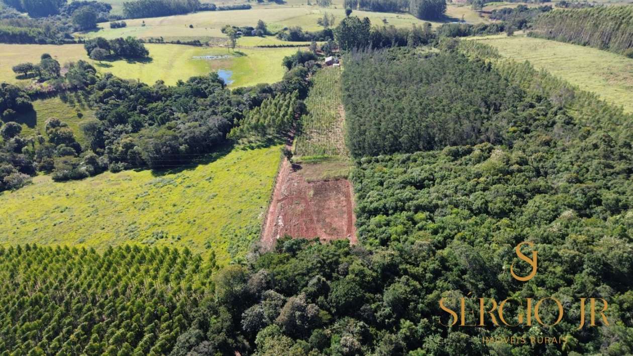 Chácara, 3 quartos, 2 hectares - Foto 7