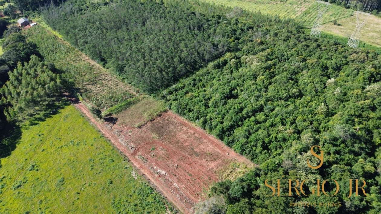 Chácara, 3 quartos, 2 hectares - Foto 8