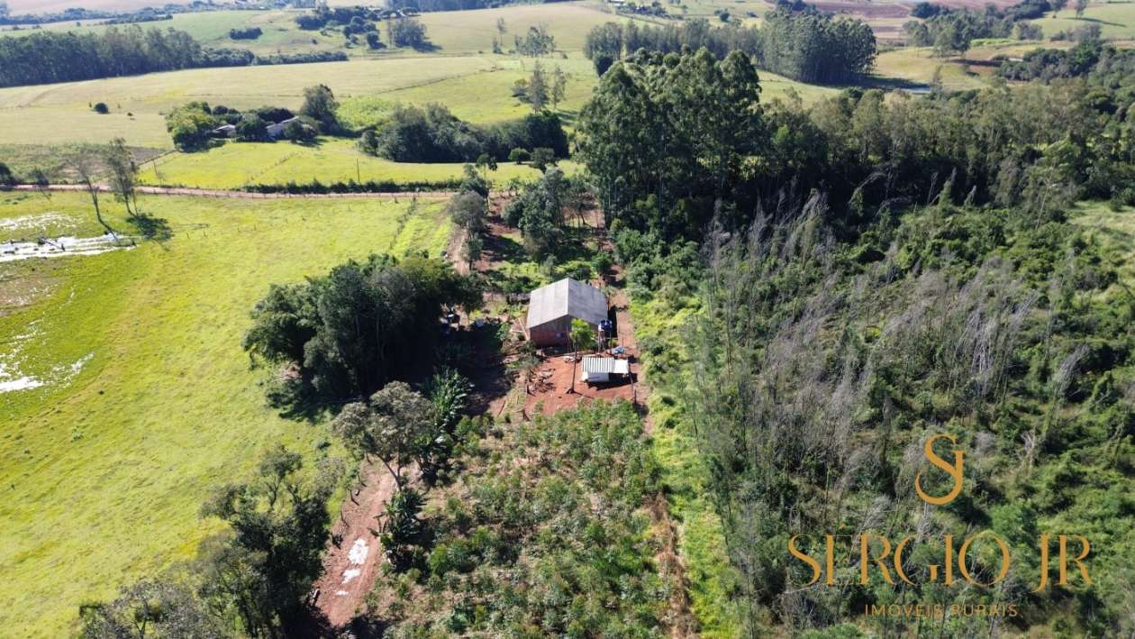 Chácara, 3 quartos, 2 hectares - Foto 11