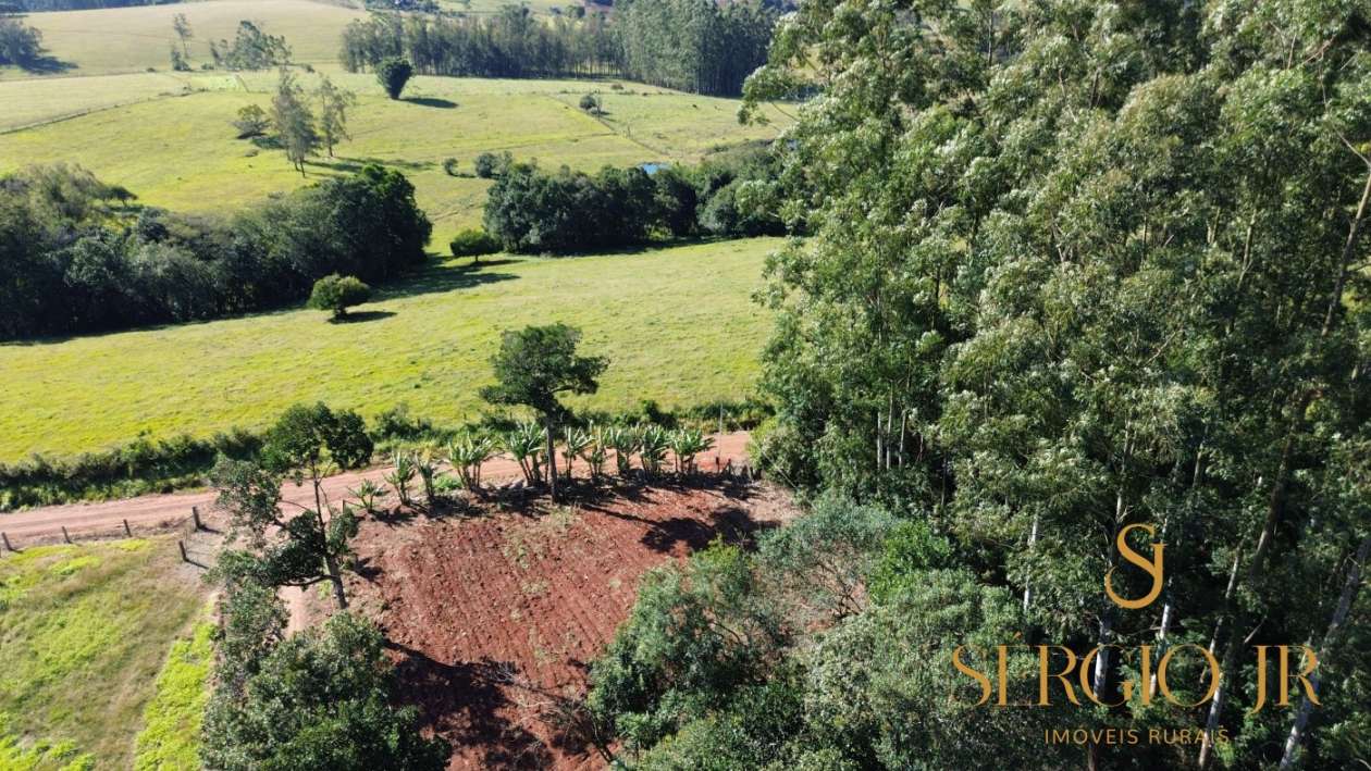 Chácara, 3 quartos, 2 hectares - Foto 13