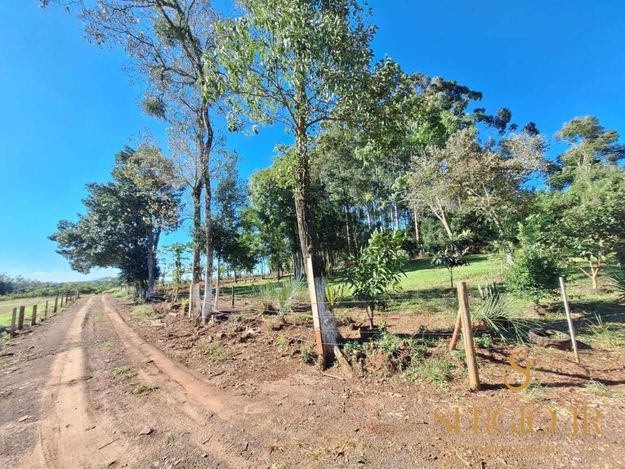 Chácara, 3 quartos, 2 hectares - Foto 19