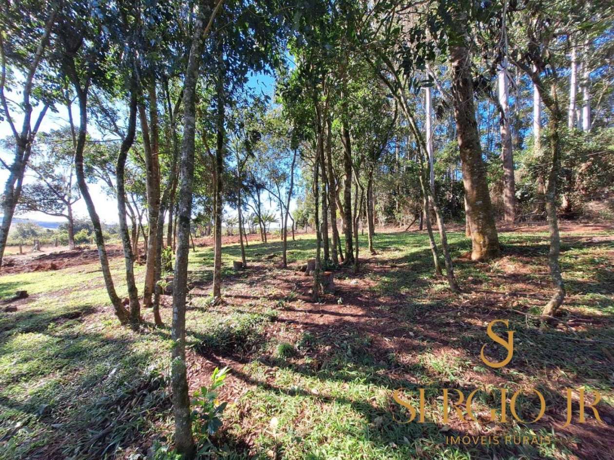 Chácara, 3 quartos, 2 hectares - Foto 27