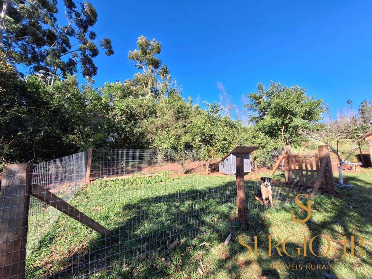 Chácara, 3 quartos, 2 hectares - Foto 28