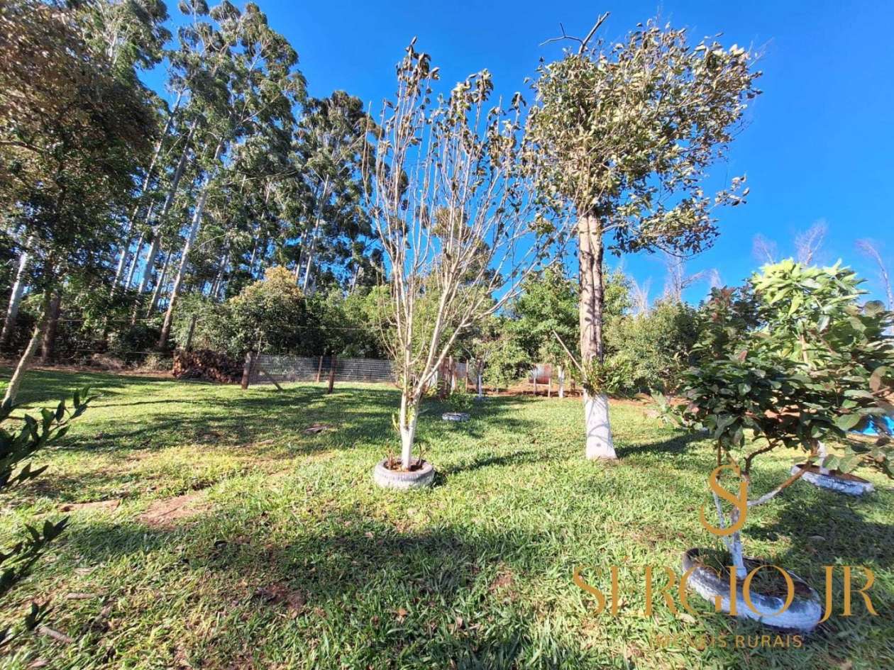 Chácara, 3 quartos, 2 hectares - Foto 29