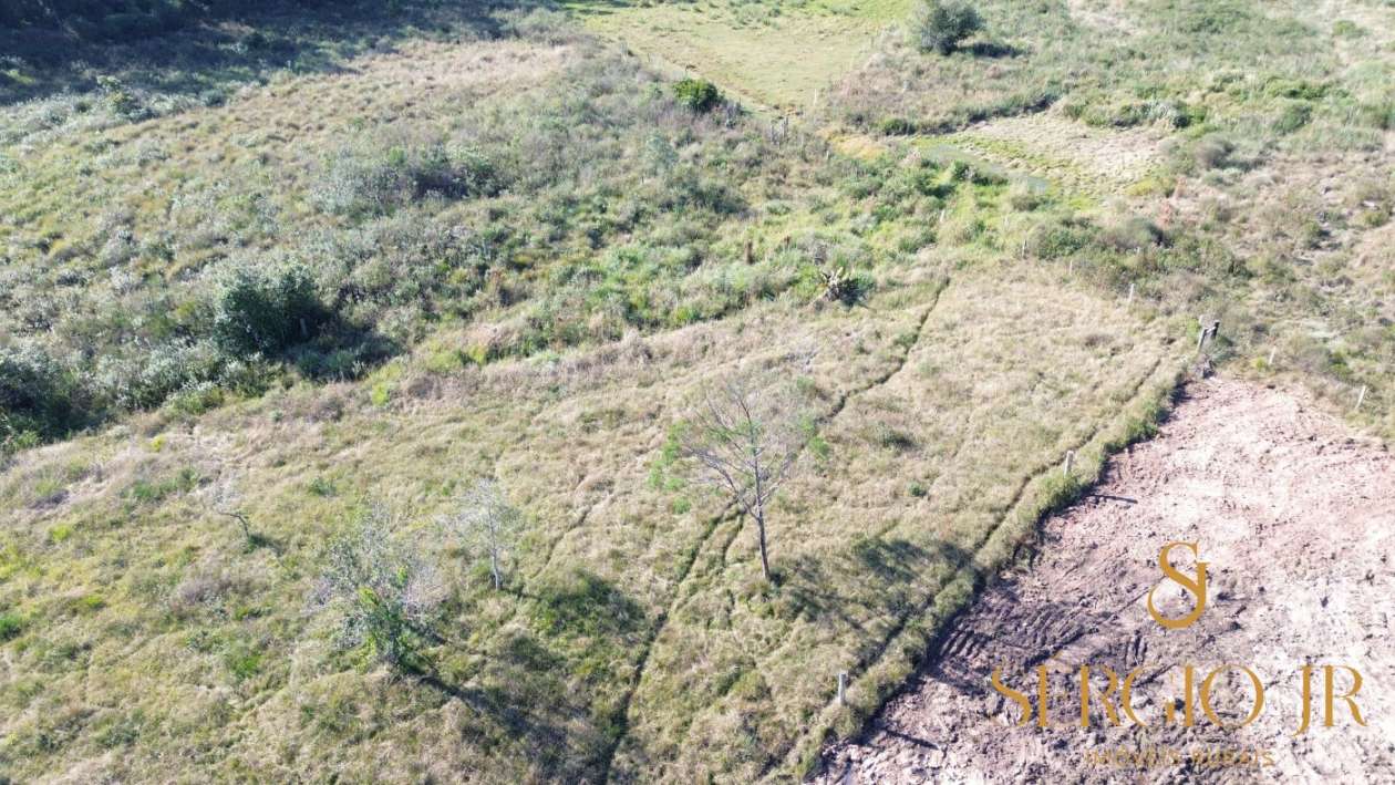 Loteamento e Condomínio, 5000 m² - Foto 10