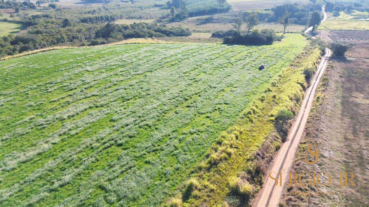 Loteamento e Condomínio, 41 hectares - Foto 3