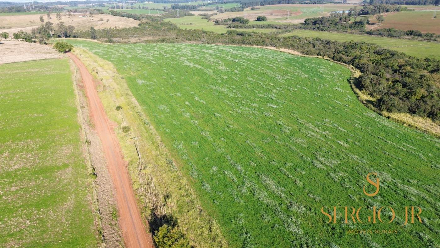 Loteamento e Condomínio, 41 hectares - Foto 4