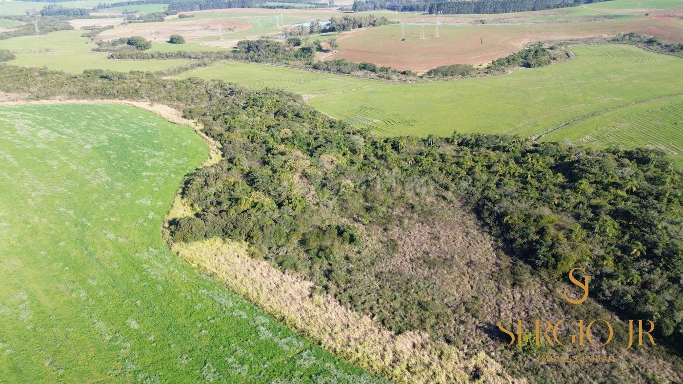 Loteamento e Condomínio, 41 hectares - Foto 8
