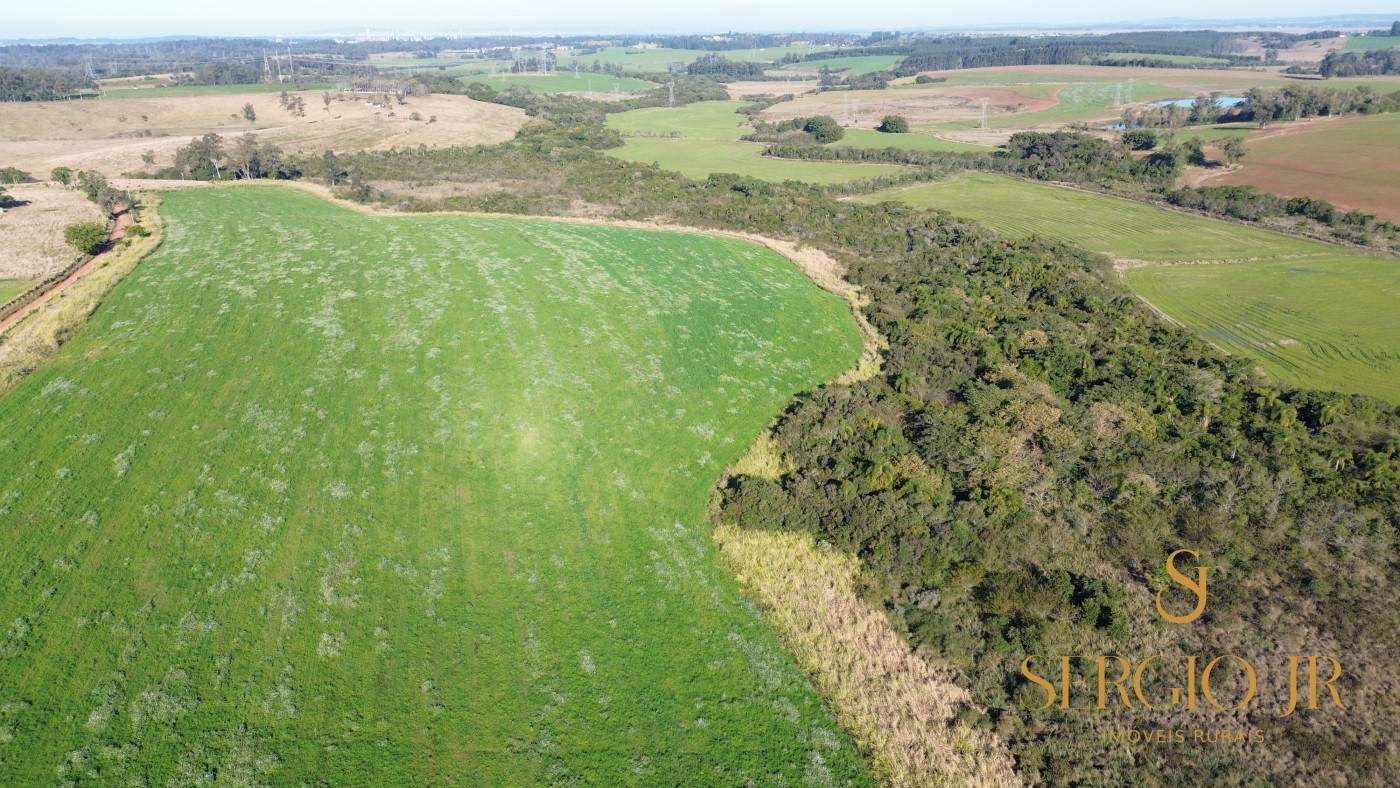 Loteamento e Condomínio, 41 hectares - Foto 9