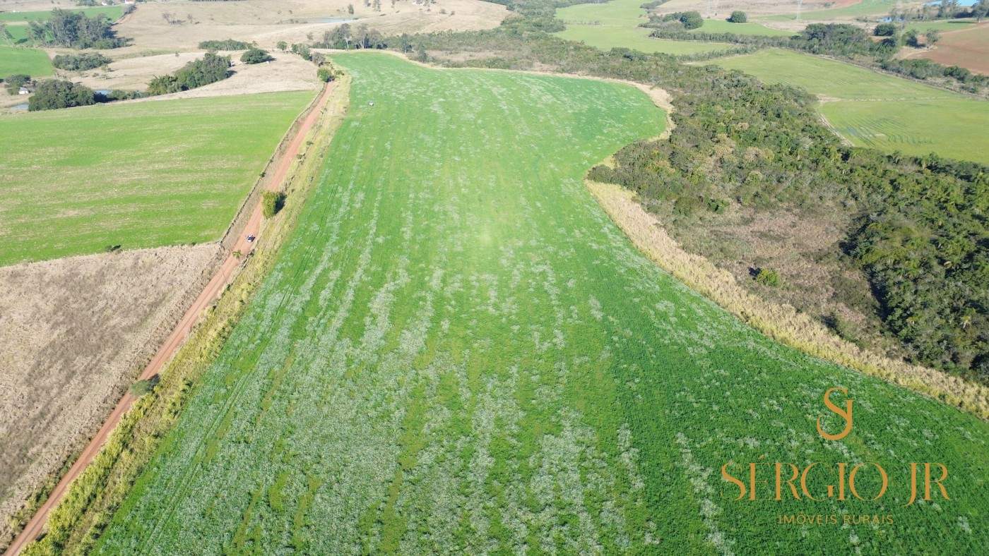 Loteamento e Condomínio, 41 hectares - Foto 11