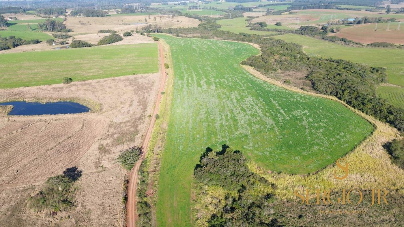 Loteamento e Condomínio, 41 hectares - Foto 1