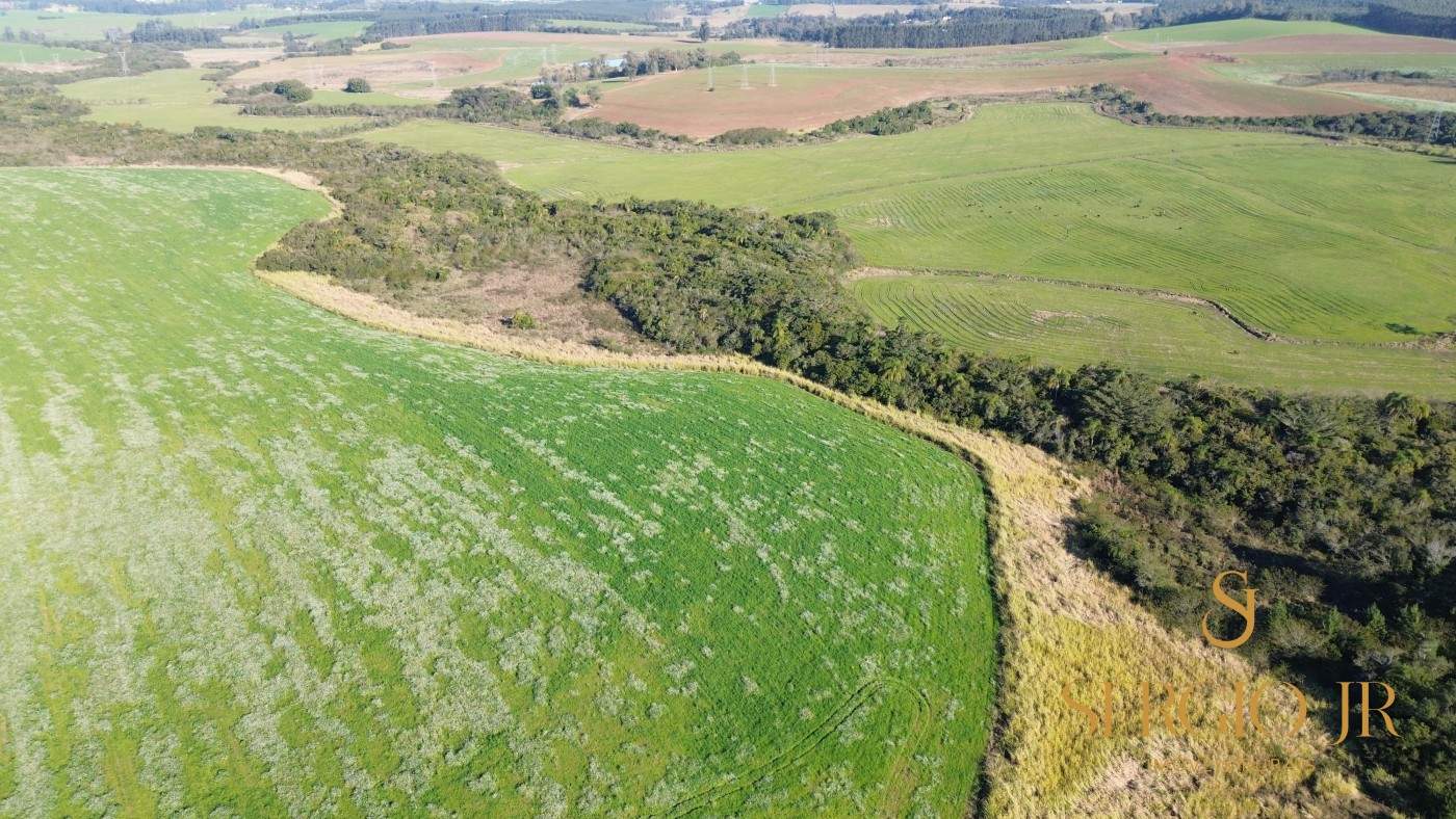 Loteamento e Condomínio, 41 hectares - Foto 20