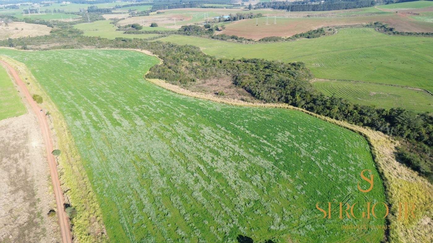Loteamento e Condomínio, 41 hectares - Foto 19