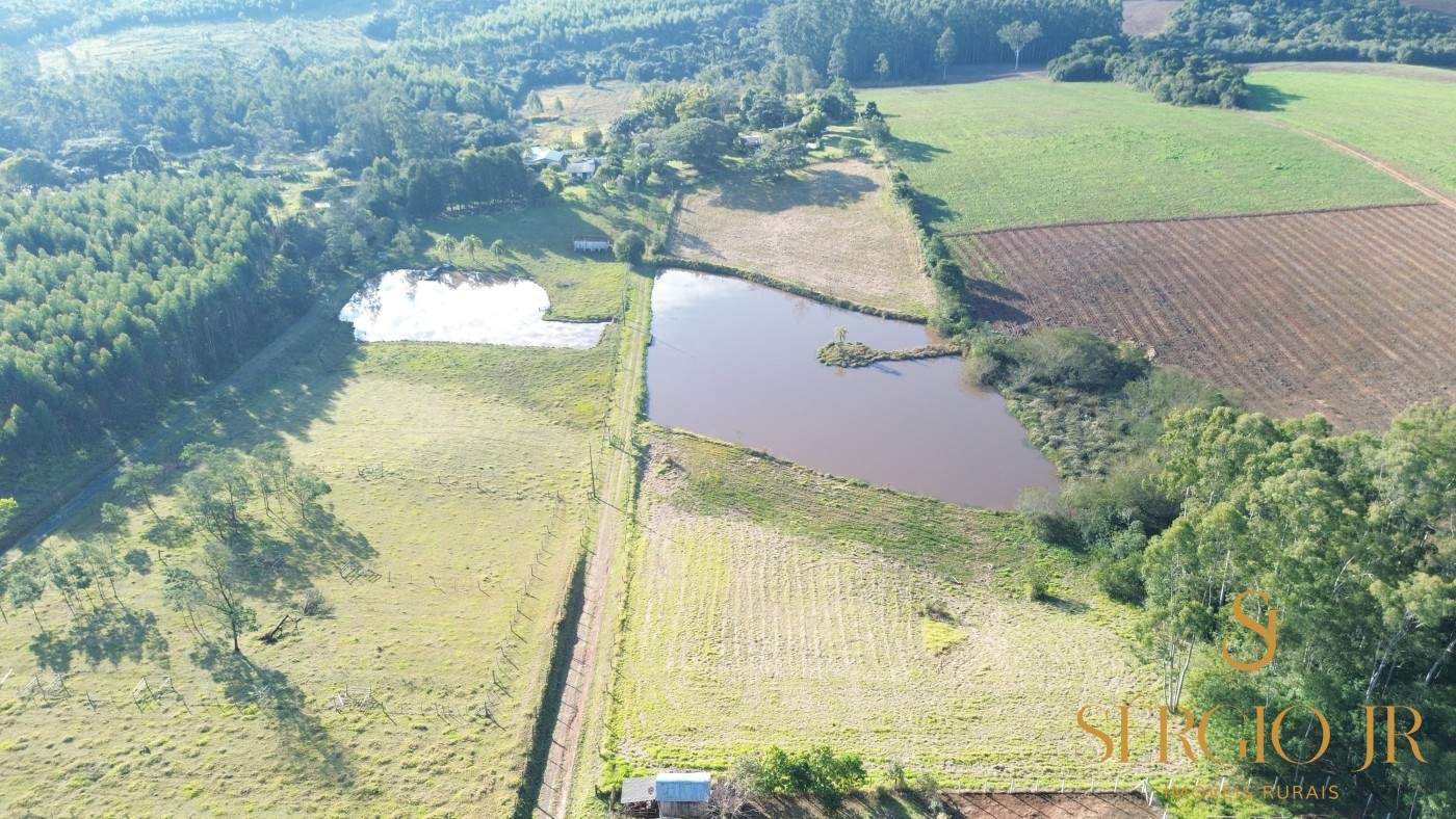 Chácara, 3 quartos, 4 hectares - Foto 1
