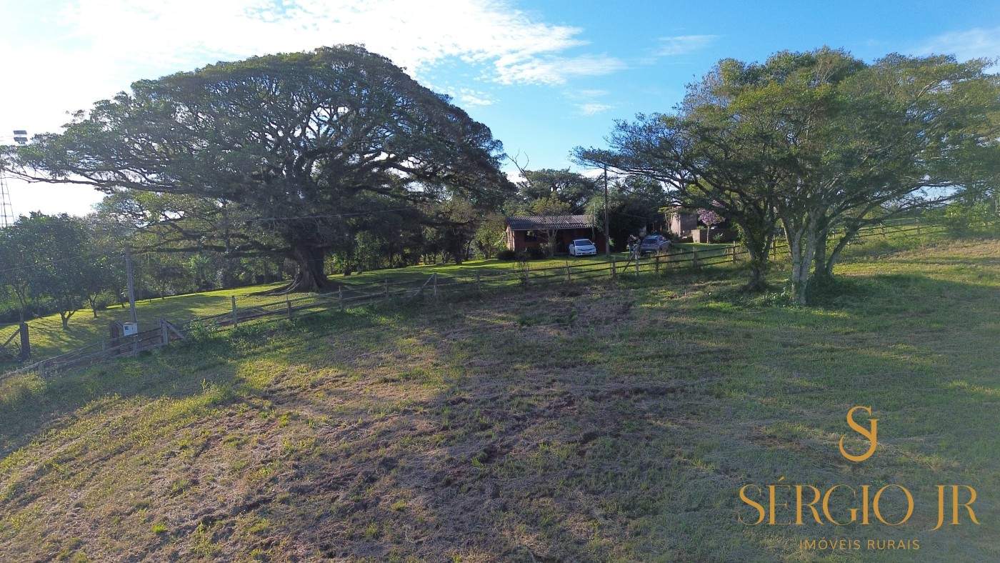 Chácara, 3 quartos, 4 hectares - Foto 4
