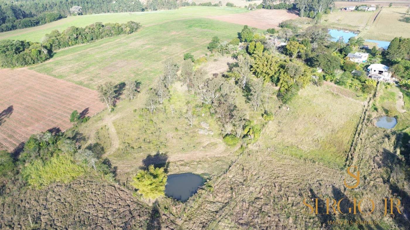 Chácara, 3 quartos, 4 hectares - Foto 6