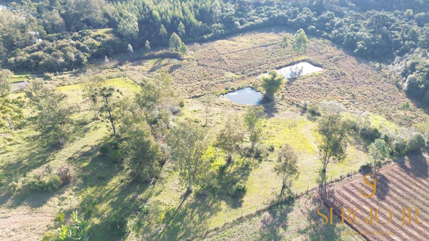 Chácara, 3 quartos, 4 hectares - Foto 7
