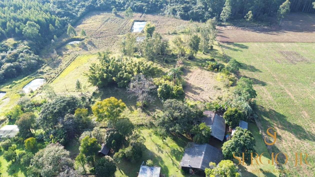 Chácara, 3 quartos, 4 hectares - Foto 14